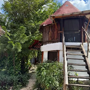 Tree House , Tulum México